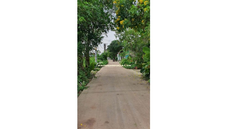Cho thuê nhà xưởng Đ công nghệ mới ( đường 1A) Vĩnh Lộc B 1200m2 Điện 3fa 15tr